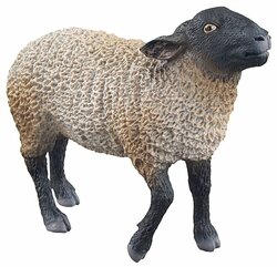 Основная фотография от вендора