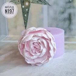 Основная фотография от вендора