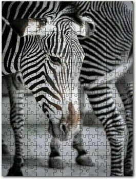 Cakapuzzle Hüzünlü Zebra ve Burnundaki Leke 500 Parça Puzzle