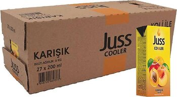 Juss Cooler Karşık Meyve Suyu 27x200 ml
