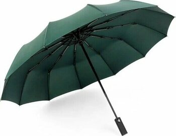 Lebeigo Tam Otomatik 12 Kemikli Yeşil Şemsiye