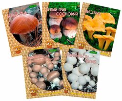 Основная фотография от вендора