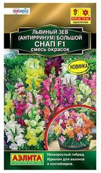 Основная фотография от вендора