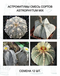 Основная фотография от вендора