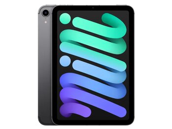 Ipad Mini 8.3 Inç Wi-Fi + Cellular 256 Gb 6. Nesil Uzay Gri