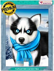 Основная фотография от вендора