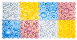 Основная фотография от вендора