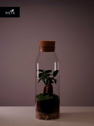 Основная фотография от вендора