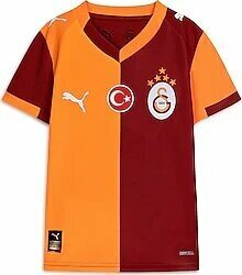 Puma 779818-01 2025/2026 İç Saha Parçalı Galatasaray Çocuk Forması
