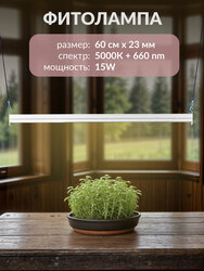 Основная фотография от вендора