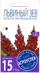 Основная фотография от вендора