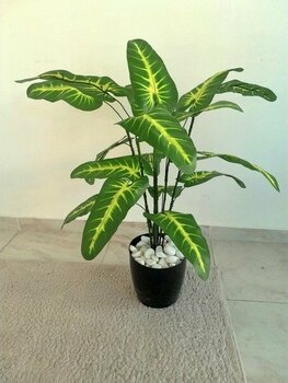 Yeşilada Yapay Difenbahya Çiçeği Salon Çiçeği 70 cm Geniş  Yeşil Yapraklı