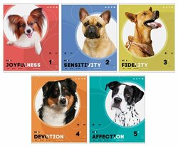 Основная фотография от вендора