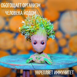 Основная фотография от вендора