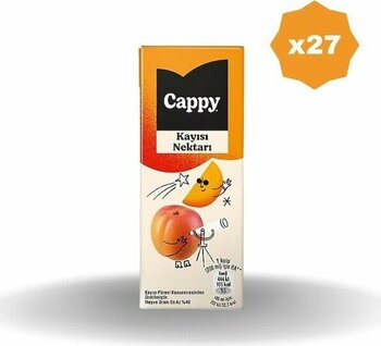 Cappy Kayısılı Meyve Nektarı 200 ml - (27 Adet)