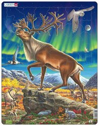 Основная фотография от вендора