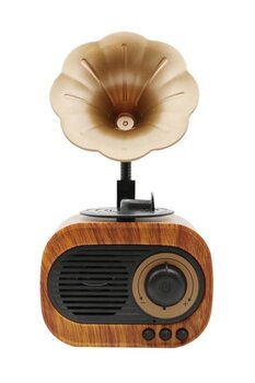 Forland B5 Nostaljik Mini Radyo Gramofon Bluetooth Hoparlör Fm Usb Sd Yüksek Ses Speaker