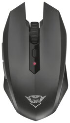 Основная фотография от вендора