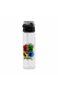 Harry Potter 700 ml Matara
