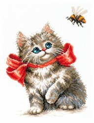 Основная фотография от вендора