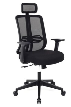 furnira Pronova Black Ergonomik Ofis Sandalyesi | Bel Destekli Fileli Çalışma Koltuğu | Ayarlanabilir