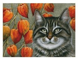 Основная фотография от вендора