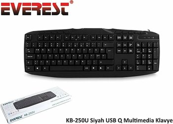 Everest Kb-250u Q Usb Multimedya Siyah Klavye
