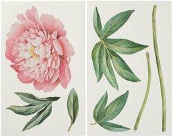 Основная фотография от вендора