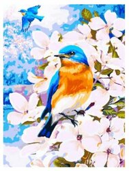 Основная фотография от вендора