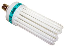 Основная фотография от вендора