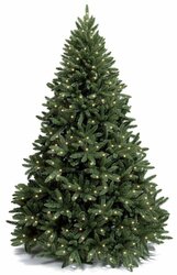 Основная фотография от вендора