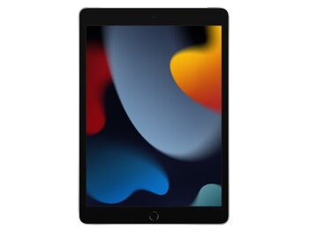 Apple Ipad 10.2 Inç Wi-Fi + Cellular 256 Gb 9. Nesil Gümüş