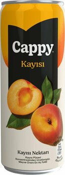 Cappy Bahçe Kayısı Nektarı Kutu 330 ml