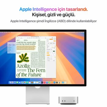 Mac mini M4 10CPU 10GPU 24GB 256GB Z1CF0009L