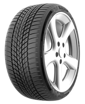 245/45R18 100V Xl Carmıle Wınter Mılestone (Kış)