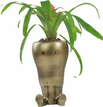 Evene Saksı Çiçek Kaktüs Saksısı Lüx 13,5 cm Havuç Desen Saksı Çiçeklik - Gold