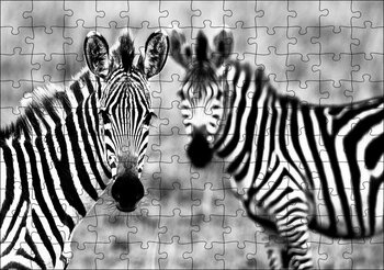 Cakapuzzle İki Sevimli Zebra Görseli Puzzle Yapboz Mdf Ahşap