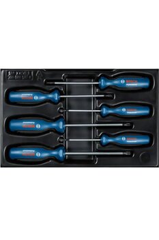 Bosch Torx Tornavida Takımı 6 Parça