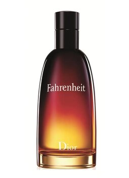Dior Fahrenheit Edt 100 ml Erkek Parfüm BEDENSIZ 204217