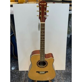 Masterwork Elektro Akustik Gitar (Kılıf Yedek Tel, Mızrap Hediyeli)
