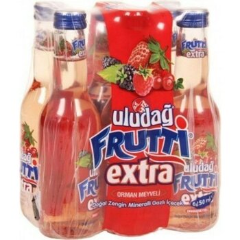 Uludağ Frutti Extra Orman Meyveli Gazlı Içecek 250 ml x 24 Adet