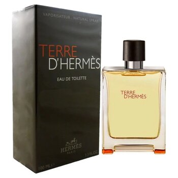 Hermes Terre De Hermes Classıc Home 100 Ml
