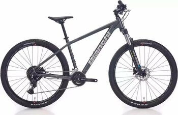 Bianchi Magma 29.1 Dark Grey Silver Gloss Dağ Bisikleti