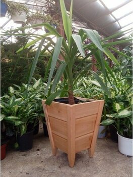 Evmodo Ahşap Saksı Dış Mekan Çiçeklik Ahşap Dekoratif Bahçe Saksıs - Şeffaf