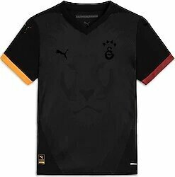 Puma 781519 2024/2025 Galatasaray Çocuk Forması