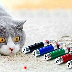 BUFFER 3 Fonksiyonlu Kırmızı Beyaz Işıklı Led Lazer Kedi Köpek Oyuncak Anahtarlık
