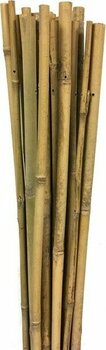 Gardener 63717 Bambu Destek Çubuğu 10'lu 12-14 mm X 150 cm