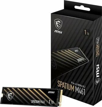 Msı Spatıum M461 Pcıe 4.0 Nvme M.2 1Tb