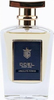 Doel Absolute Power 50 ml Erkek Parfümü