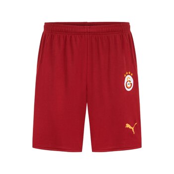 Puma Galatasaray S.k. 24/25 Erkek İç Saha Futbol Şortu 779674 01 S